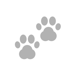 Paw Tech icon - Volumetree