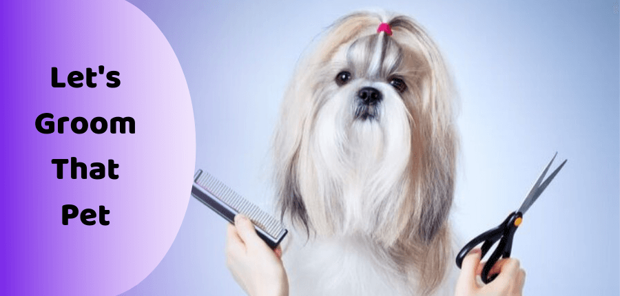 pet grooming apps