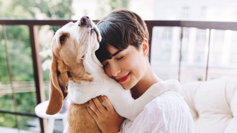 pets-are-going-digital