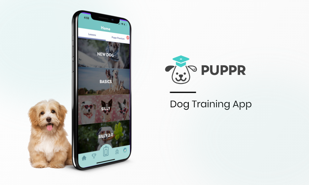 How Does Puppr App Work