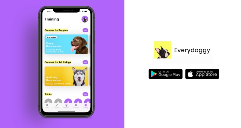 Everydoggy